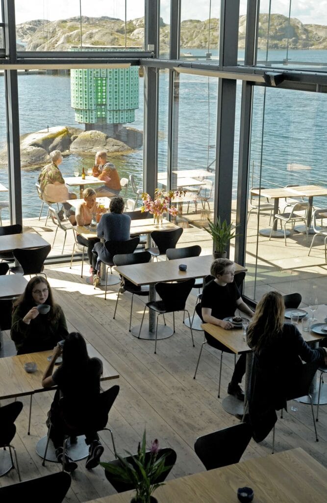 People sitting at tables in a restaurant with a view of the ocean
